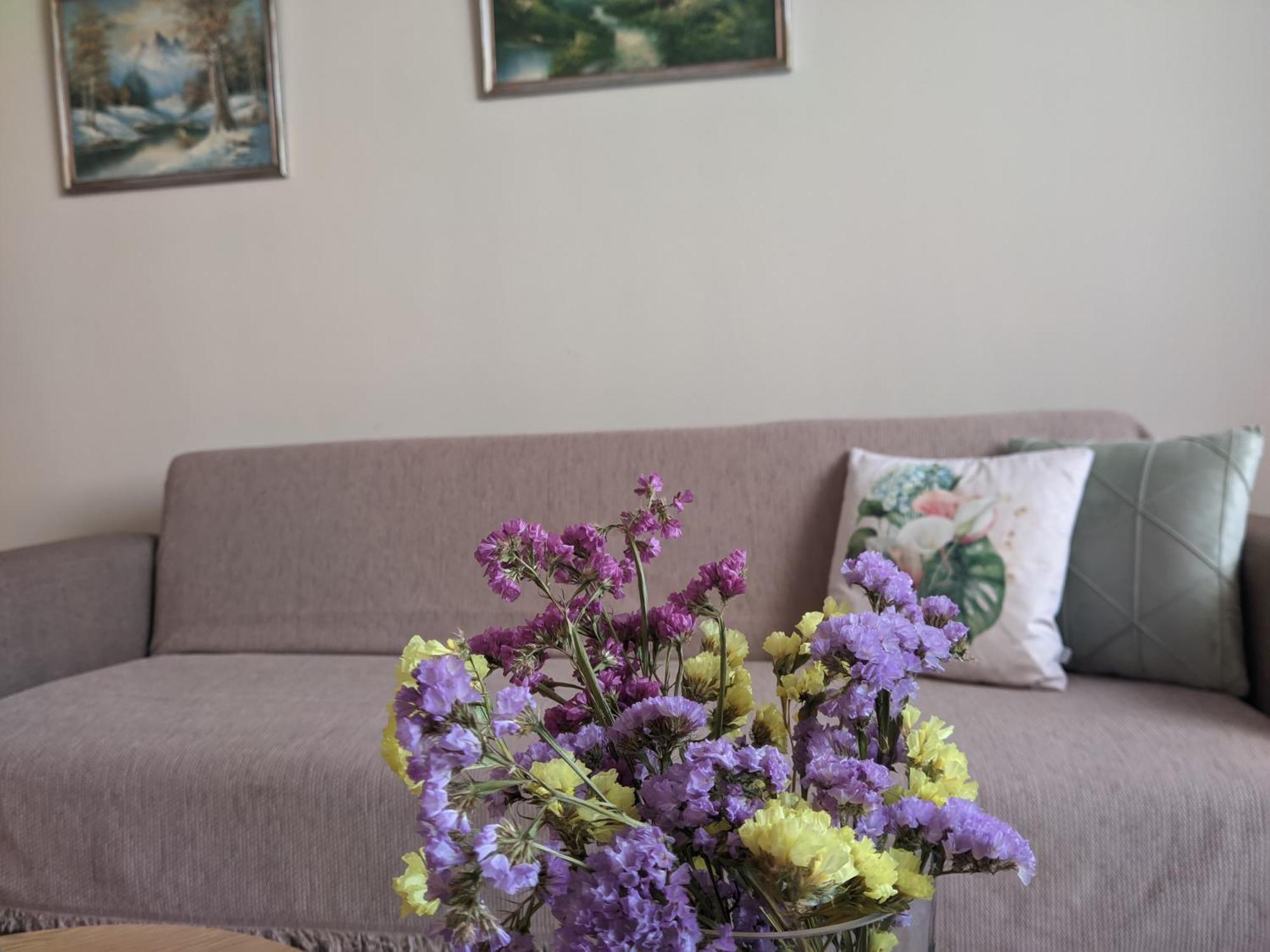 Aristo Central Apartments Ioannina Luaran gambar